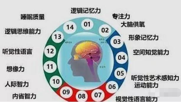 儿童智力测试仪器设备厂家分析血型还能看出孩子智商水平? 