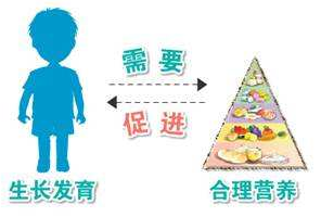 儿童生长发育测试仪谈儿童生长发育的特点 儿童生长发育测试仪谈儿童生长发育的特点
