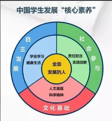 儿童综合素质发展测评系统检测儿童综合性素养提升学习心得体会